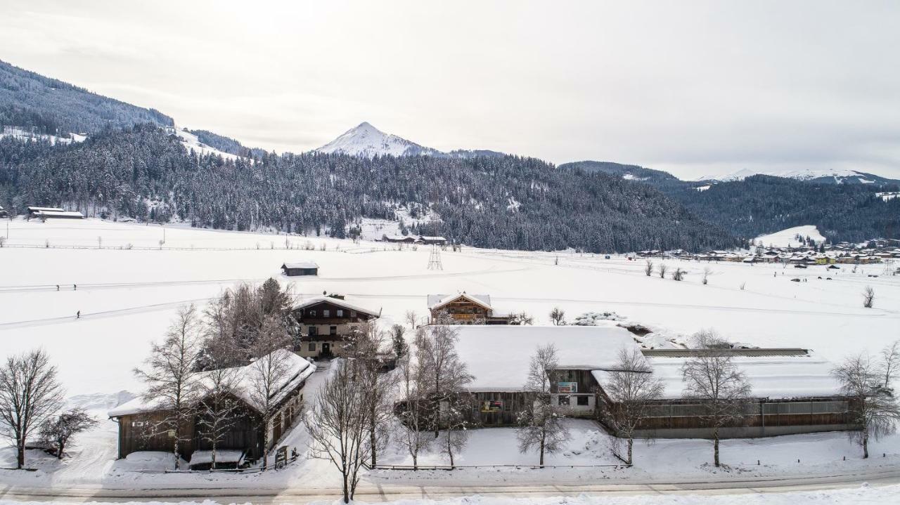 Palfengut Apartment Altenmarkt im Pongau Exterior photo